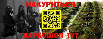 мдма Пенза