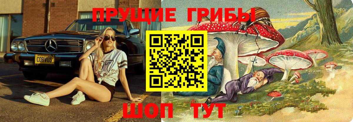 Псилоцибиновые грибы мицелий Симферополь