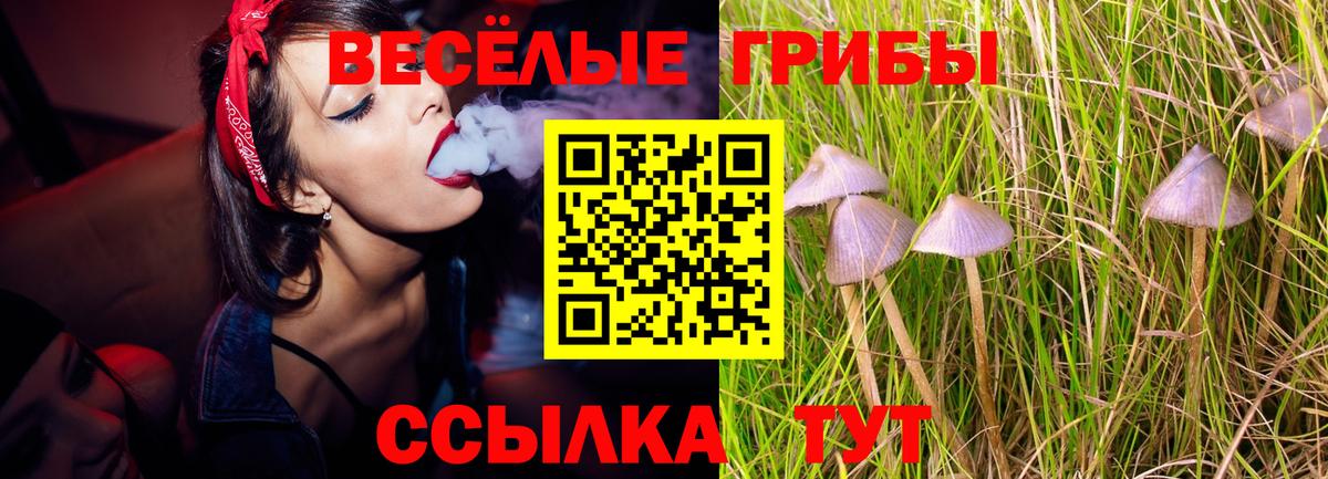 Галлюциногенные грибы прущие грибы  где купить наркоту  Симферополь  Вход с VPN 